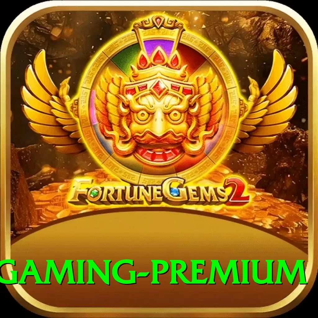 s55 Gaming Premium - 2